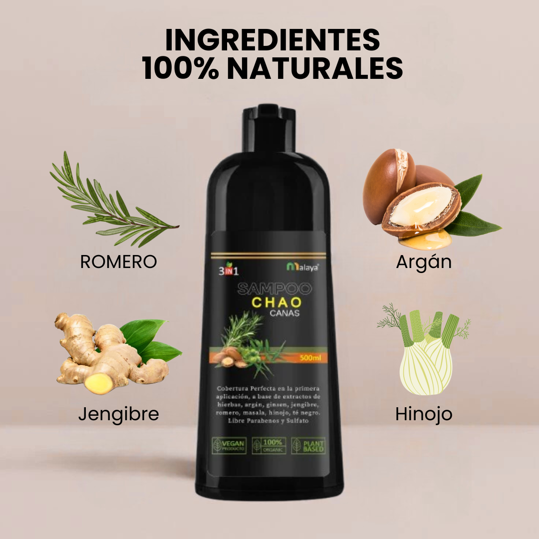 Encabezado