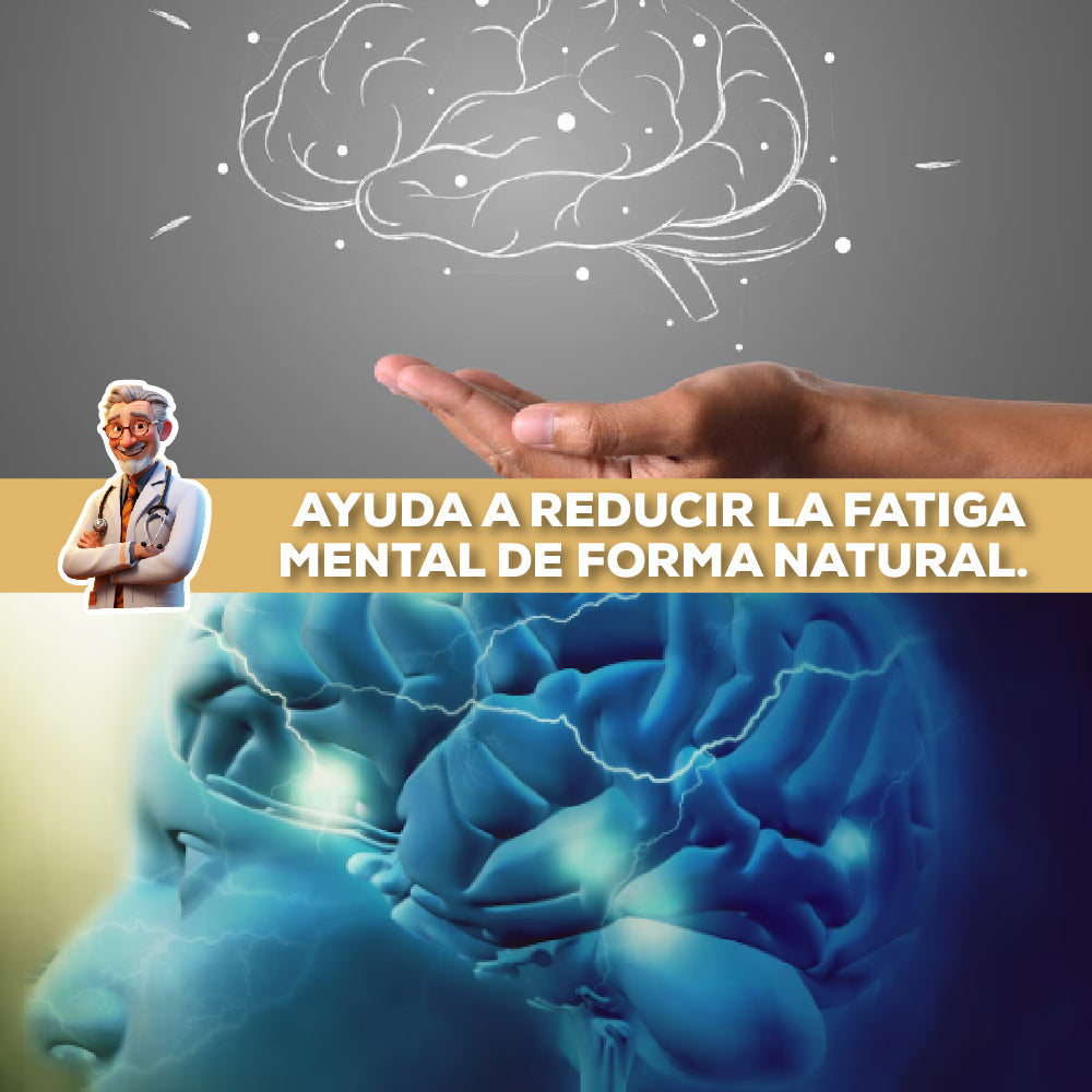 Encabezado